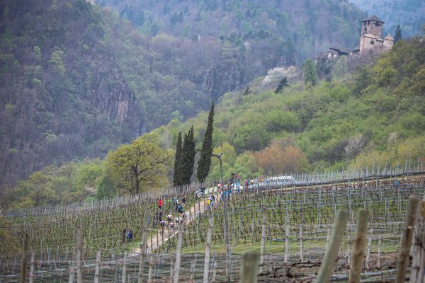 Sunshine Race Nalles 2021