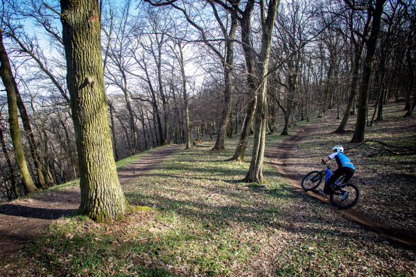 Giant Trance X E+ Pro 2