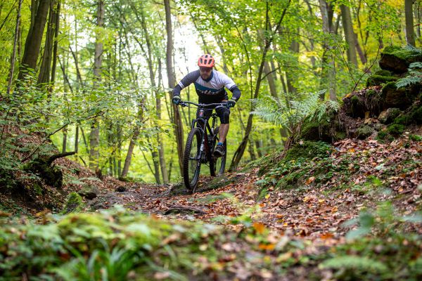 Mondraker Foxy Carbon RR