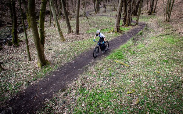 Giant Trance X E+ Pro 2