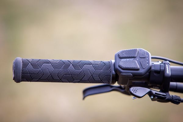 Giant Trance X E+ Pro 2