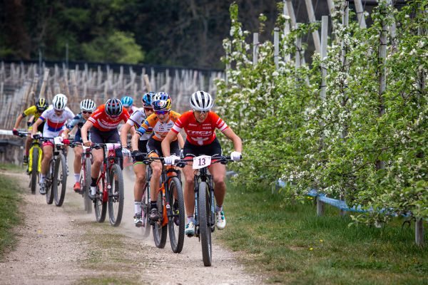 Nalles 2021 - nájezd do prvního kola