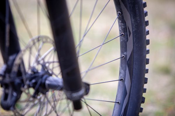 Giant Trance X E+ Pro 2