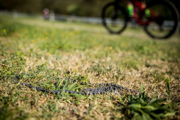 Verona MTB International 2021