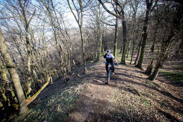 Giant Trance X E+ Pro 2