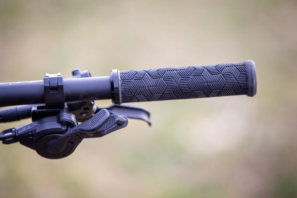 Giant Trance X E+ Pro 2