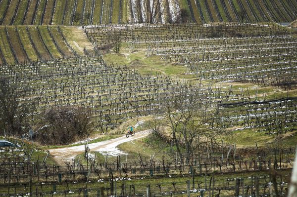 Kamptal Trophy 2021 - Langenlois