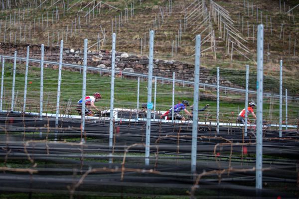 Nalles 2021 - honička ve vinicích