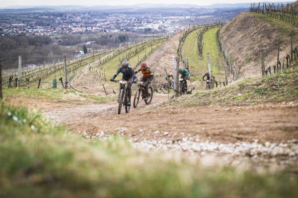 Kamptal Trophy 2021 - Langenlois