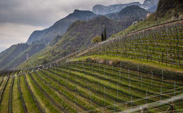 Sunshine Race Nalles 2021