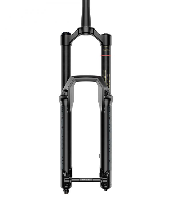 Rock Shox Domain 2022