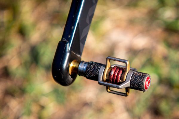 Ghost Lector FS Anne Terpstry