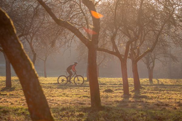 Mondraker Chrono Carbon