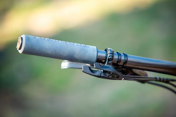 Ghost Lector FS Anne Terpstry