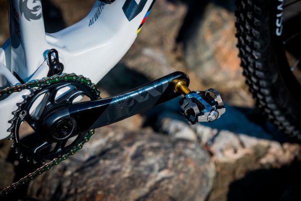 Superior Team XF 29 Ramony Forchini