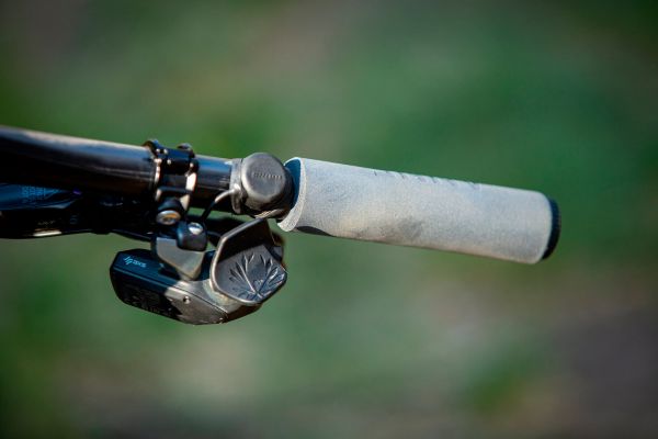 Ghost Lector FS Anne Terpstry