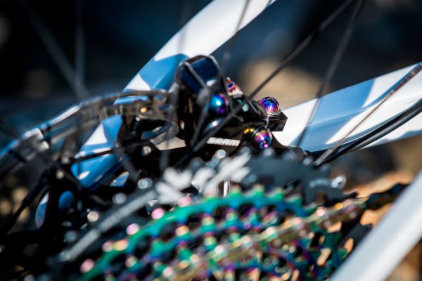 Superior Team XF 29 Ramony Forchini