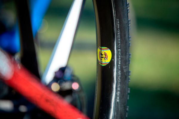 Ghost Lector FS Anne Terpstry