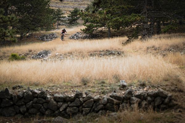 4 Islands 2021 - prolog