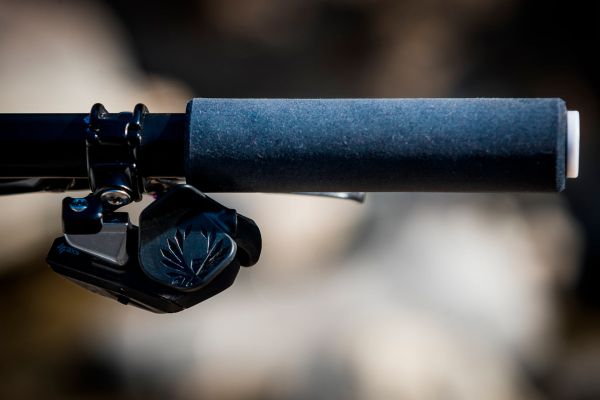 Superior Team XF 29 Ramony Forchini