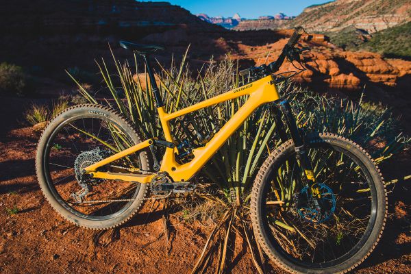 Specialized Kenevo SL