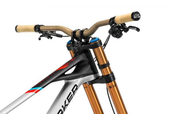 Mondraker Summum Carbon