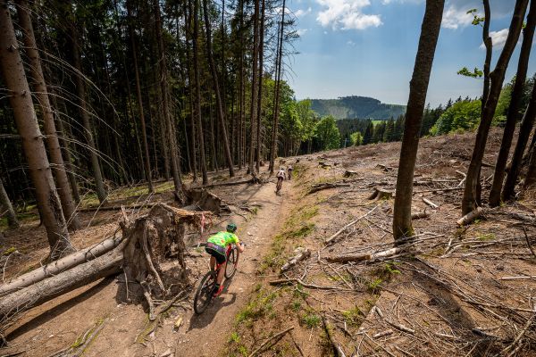 Český pohár XCM - #2 Dolní Morava 2021