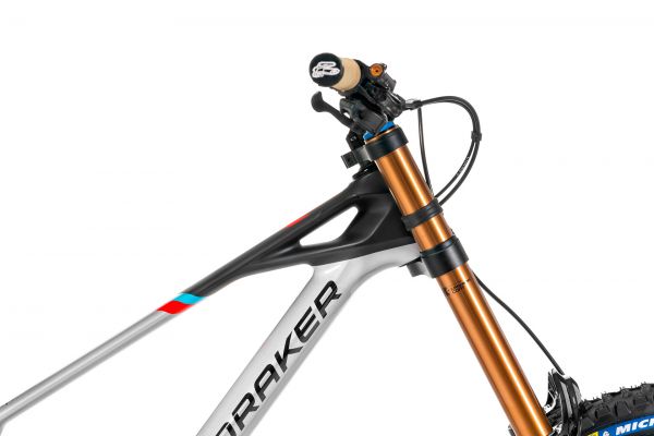 Mondraker Summum Carbon