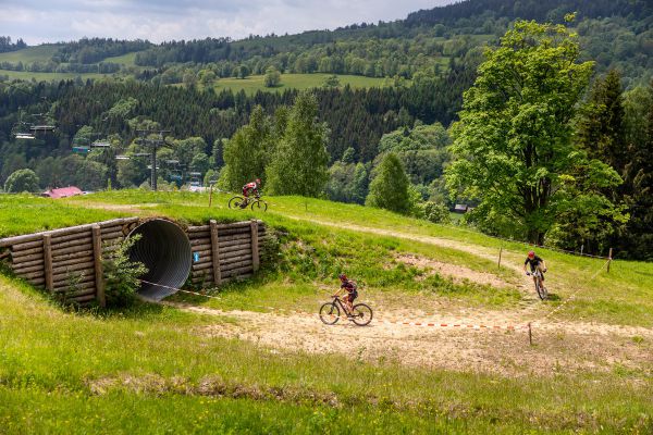 Český pohár XCM - #2 Dolní Morava 2021