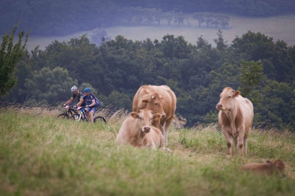 Kolo pro život 2021 - Drásal
