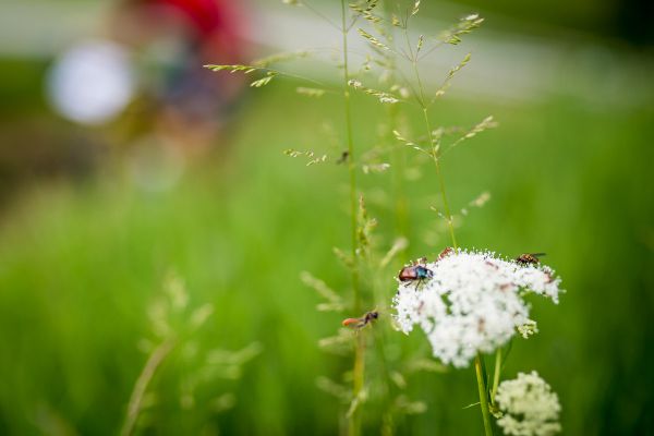 Český pohár XCO 2021 - #3 Bedřichov