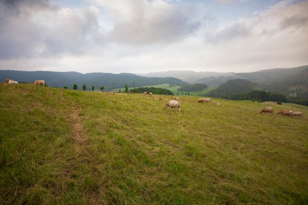 Kolo pro život 2021 - Drásal