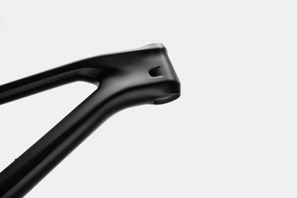 Cannondale Jekyll 2022