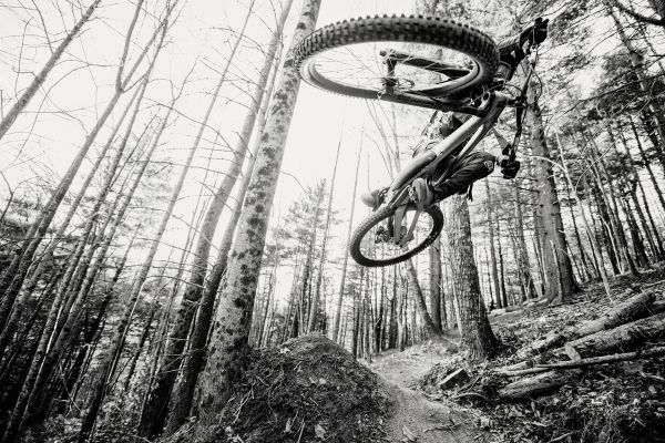 Cannondale Jekyll 2022