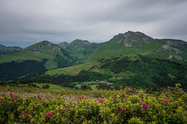 Světový pohár DHI #2 - Les Gets 2021