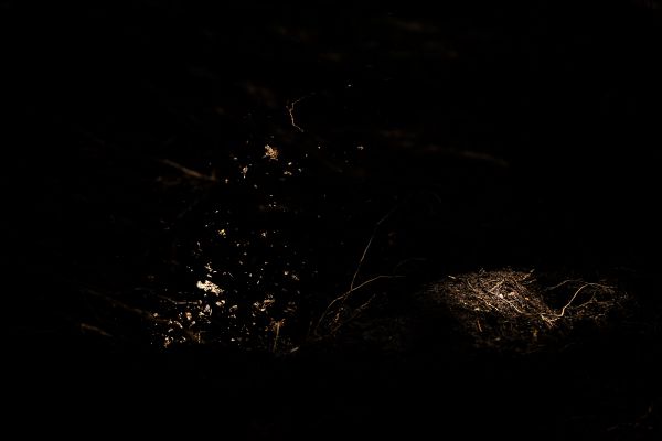 Světový pohár DHI #2 - Les Gets 2021