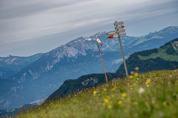 Světový pohár DHI #2 - Les Gets 2021