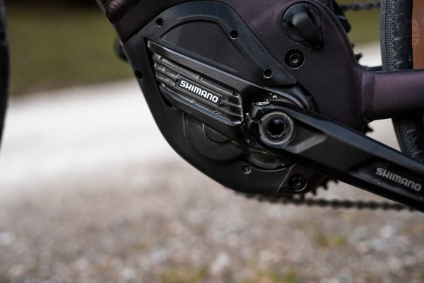 Giant Revolt E+ 2022