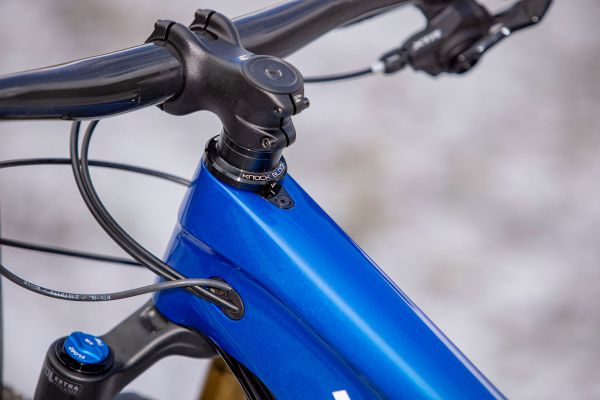 Trek E-Caliber 9.9 XTR