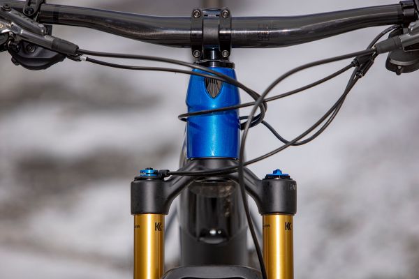 Trek E-Caliber 9.9 XTR