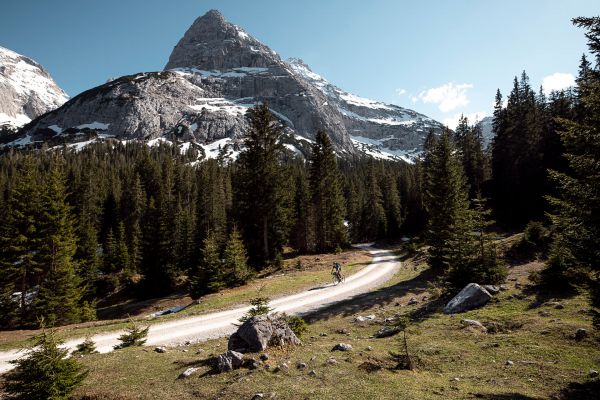 Giant Revolt E+ 2022