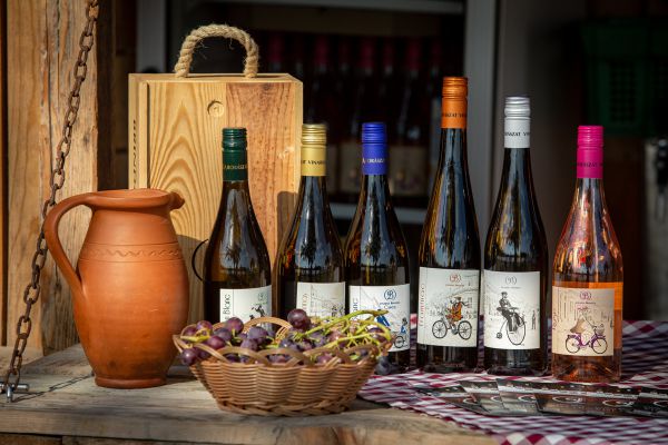 Mistrovství Evropy XCO - Novi Sad 2021 - štafety