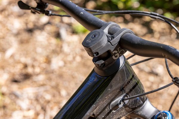 Canyon Spectral 29 CF 8