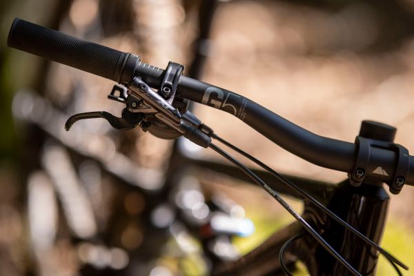 Canyon Spectral 29 CF 8