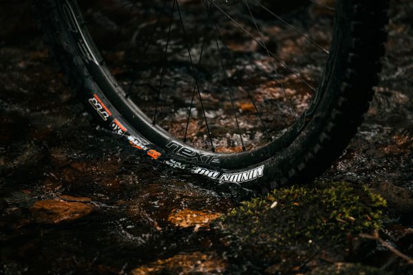 Rocky Mountain Element 2022