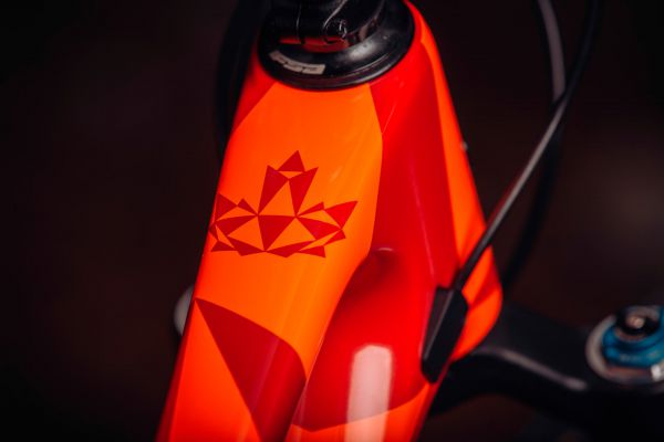 Rocky Mountain Element 2022