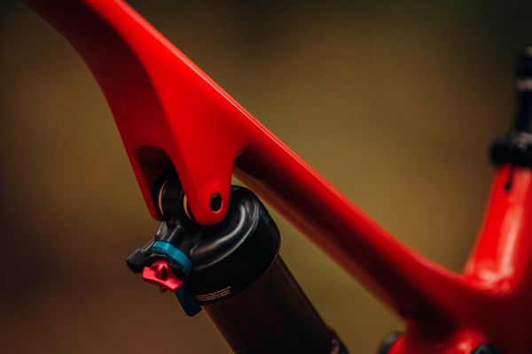 Rocky Mountain Element 2022