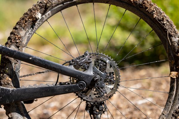 Canyon Spectral 29 CF 8