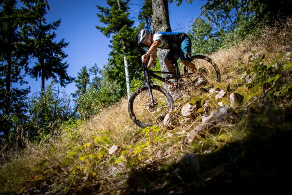 Canyon Spectral 29 CF 8