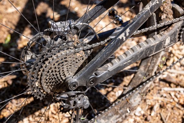 Canyon Spectral 29 CF 8